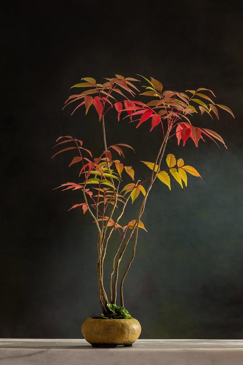 Landscaping Services Location